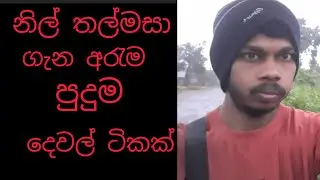 නිල් තල් මසා ගැන ඔබ නොදත් කරැනු