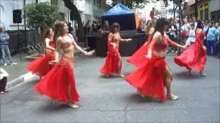 apresenta&ccedil;&atilde;o dan&ccedil;a do ventre grupo rags al sharp