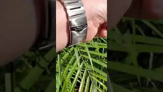 Invicta coalition forces sniper