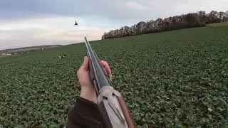 Chasse du petit gibier au calibre 20 !