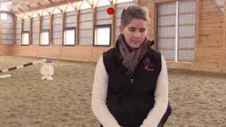 When weird horse behavior happens....
