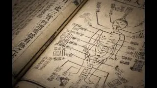 TCM Fundamental Theory Video 1