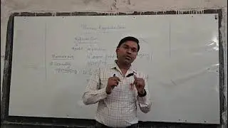 Human reproduction 