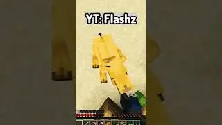 Flashz Best Minecraft Player?