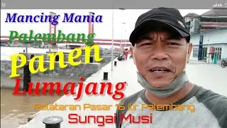 Dahsyat Spot Mancing di Sungai Musi, Lubuk Ikan Lumajang I  Pasar 16 Ilir Palembang  Jembatan Ampera