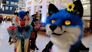 Furpocalypse 2022 - Anti's Convention Clips
