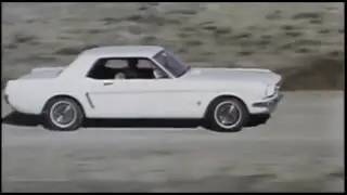 The Mustang Story