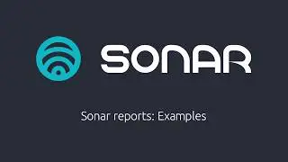 Sonar Reports Examples