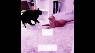 Boo slapping Buddy 8-28-21
