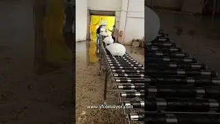 Flexible Powered Roller Comveyor in stainless steel material