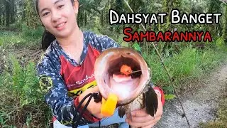 Dahsyat banget sambarannya, umpan baru dilempar langsung di sambar gabus babon || Aura Pawita