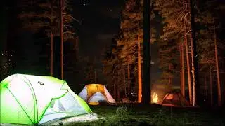 ASMR night camping, forest and fire sounds