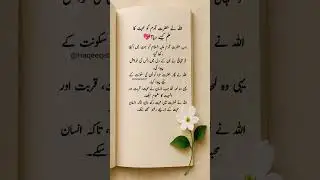 اللہ نے حضرت آدم کو محبت سکھائی ❤️ | Heart Touching Islamic Story #quotes #aqwalezareen #love #short