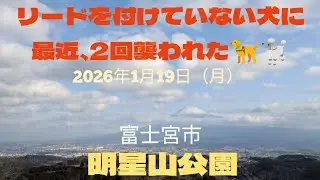 今朝の富士山と明星山公園の道路工事の状況