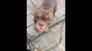Вот такой сборник 💖 #shorts