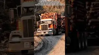 Powerful American Log Hauler in Extreme Forest Roads! #shorts