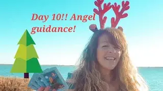 Day 10! Angel guidance cards!