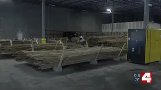 Bamboo better than steel? One company moves to Missouri, betting big on architectural and industr...