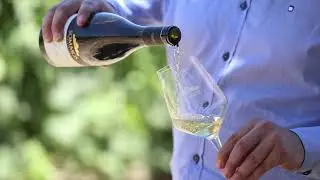 Sommos Colecci&oacute;n Chardonnay