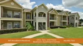 IMT Woodland Meadows | Apartments for Rent | Spring TX