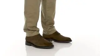Polo Ralph Lauren Asher Derby SKU: 9924092
