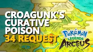 Croagunk's Curative Poison Pokemon Legends Arceus Request 34