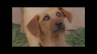 &iexcl;Houston, Tenemos Un Problema! (Castilian Spanish)
