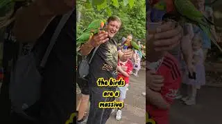 Theme parks with zoos uk?