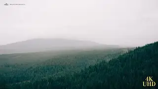 Study Music That Keeps You Focused | 4K UHD Ambient