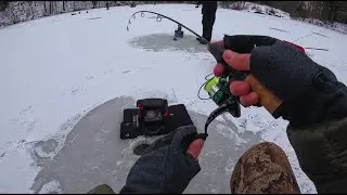 Catching MONSTER (small) fish on the ice! - Ice Fishing a Local Lake