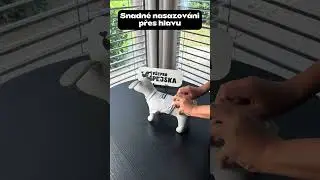 Vsepropejska.cz | Enji elastick&eacute; tričko pro psa #trickopropsa #pejsek #vsepropejska