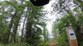 Gravity
