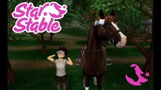 Buying the jorvik warmblood! *rip star coins*