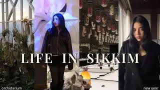 Медленная жизнь в Сиккиме: орхидариум и повседневная жизнь