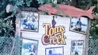 Toms Creek Zwolle. Forellenteiche.