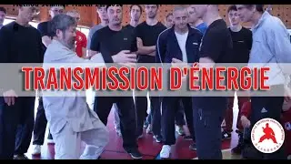 Передача энергии – Практический метод Чэнь Тайцзицюань