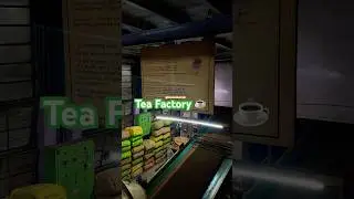 Tea Factory #teafactory #teapower #teamaking #ooty #tealover #comedy #funny #youtubeshorts
