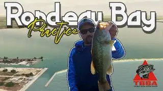 Rondeau Bay Largemouth Fishing | Practice Day