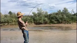 Channel Catfish Fishing Tips For A Shallow River