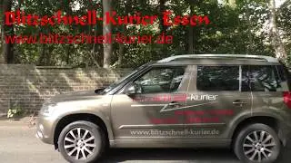 R&uuml;ckf&uuml;hrung einer Belgischen Duiven /Taube / Pigeon