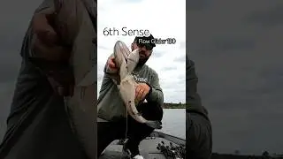 6th Sense Flow Glider 130 #6thsensefishing #fishing #bassfishing #largemouth #swimbait #glidebait