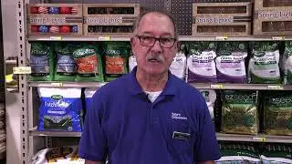 Fall Lawn Care | Best Grass Seed for Coastal Virginia & North Carolina