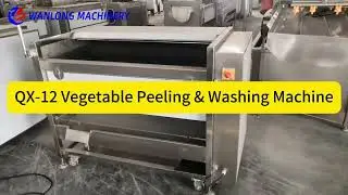 Industrial Fruit & Vegetable Brush and Sand Roller Washing Peeling Machine &ndash; Versatile & Efficient