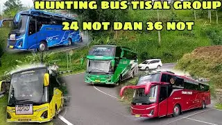 Hunting bus tisal group 24 not dan 36 not di kelok 8 Tawangmangu 