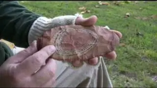 Flint Knapping Buffalo River Bullseye