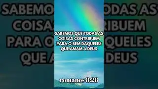 ROMANOS 8:28