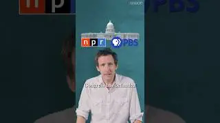 Can NPR survive without public funding?
