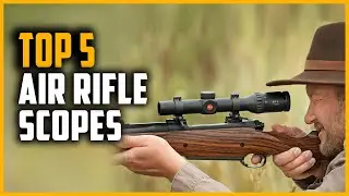 Top 5 Best Air Rifle Scope in 2024