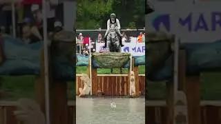 Eventing Horse Cross Country Water Jump #shorts #horse #equestrian