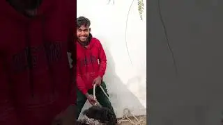 safety tank gaddha 😱 || #youtube #ट्रेंडिंग #वायरल #shorts #blocks